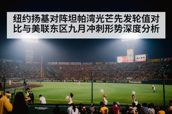 baseball stadium night lights