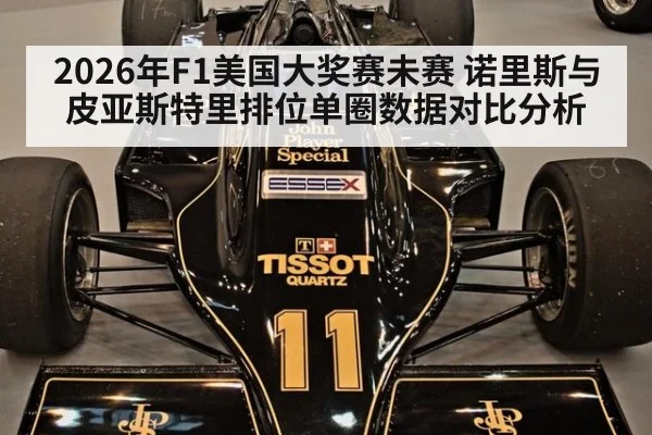 2026年F1美国大奖赛未赛 诺里斯与皮亚斯特里排位单圈数据对比分析（nine game）